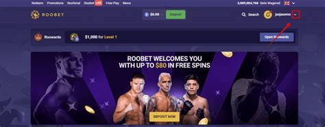 how to play roobet in u s|Iba pa.